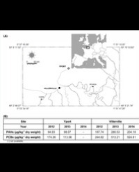 Article Image 1