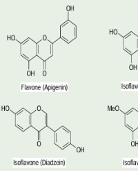 Article Image 1