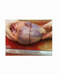 Article Image 1