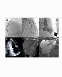 Article Image 1