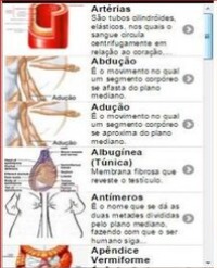 Article Image 1