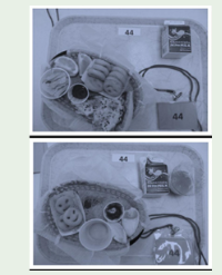 Article Image 1