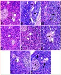 Article Image 1