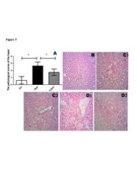 Article Image 1