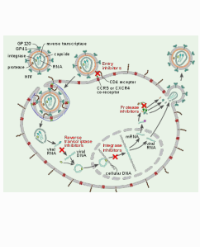 Article Image 1