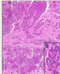 Article Image 1