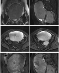 Article Image 1