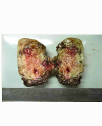 Article Image 1