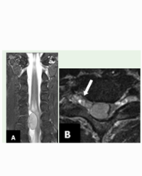 Article Image 1