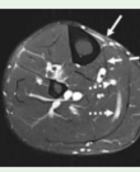 Article Image 1