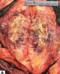 Article Image 1