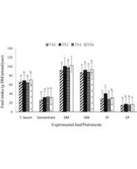 Article Image 1