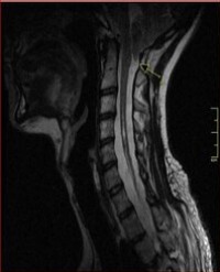 Article Image 1
