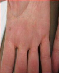 Article Image 1