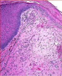 Article Image 1