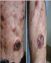 Article Image 1