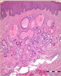 Article Image 1