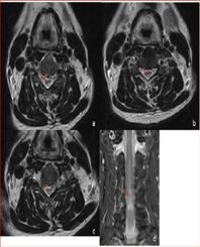 Article Image 1