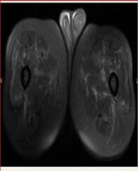 Article Image 1
