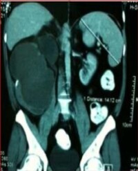 Article Image 1