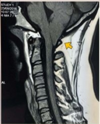 Article Image 1