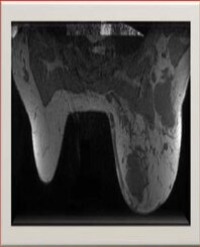 Article Image 1