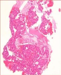 Article Image 1