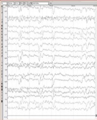 Article Image 1