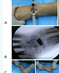 Article Image 1