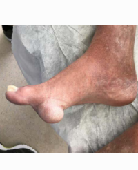 Article Image 1