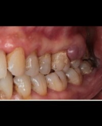 Article Image 1