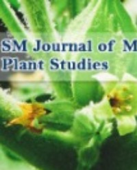 Article Image 1