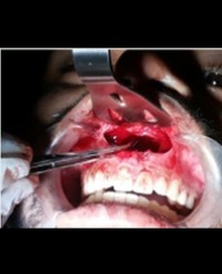 Article Image 1