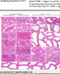 Article Image 1