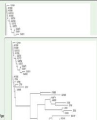 Article Image 1